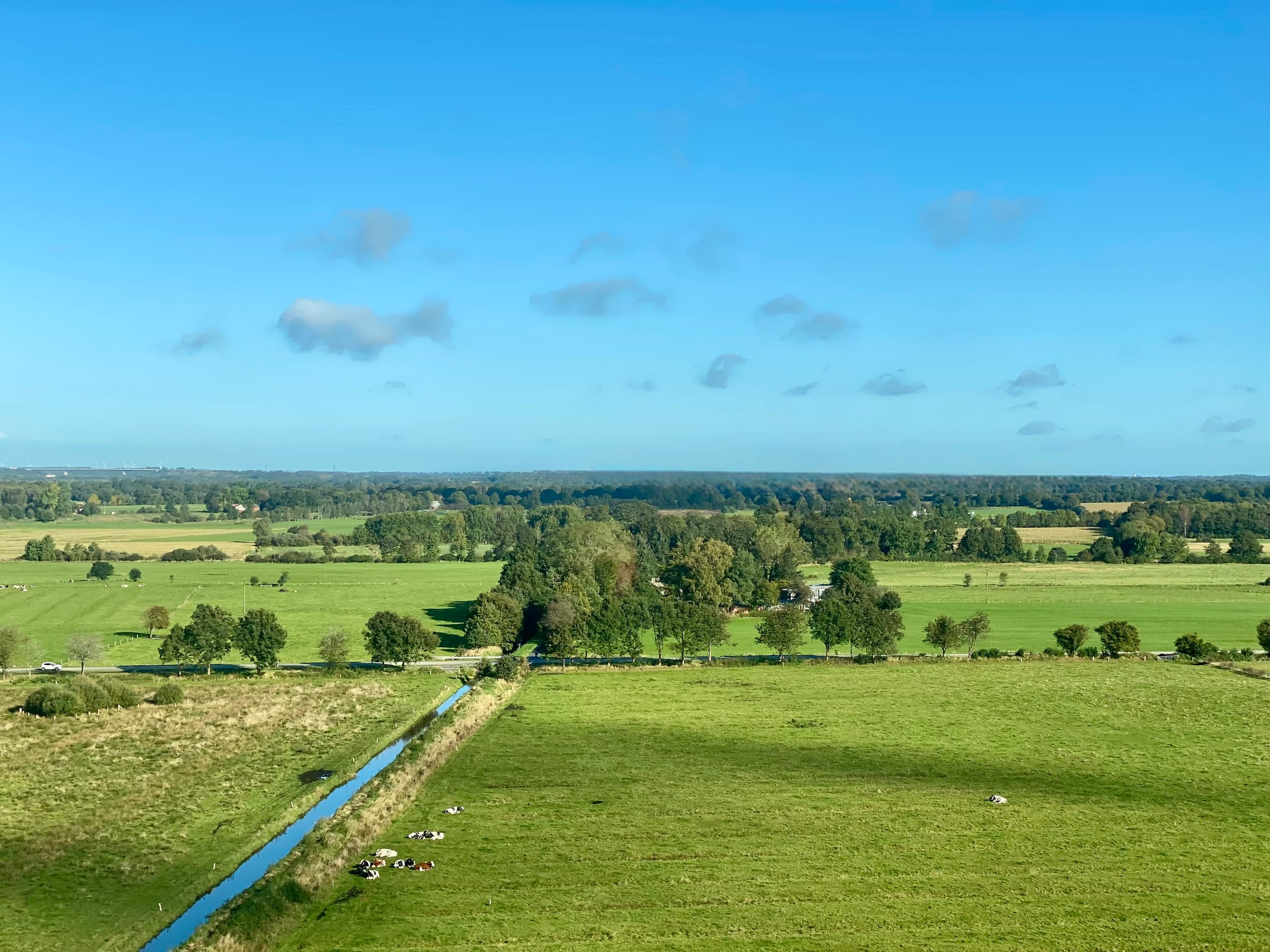 Weite Landschaft im Kreis Steinburg mit Wiesen, Gräben und Weidevieh unter blauem Himmel